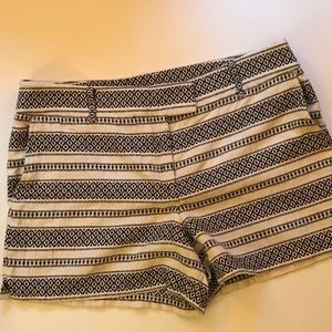 LOFT Shorts - Ann Taylor Loft Black and Cream size 14 shorts LOFT Shorts - Ann Taylor Loft Black and Cream size 14 shorts